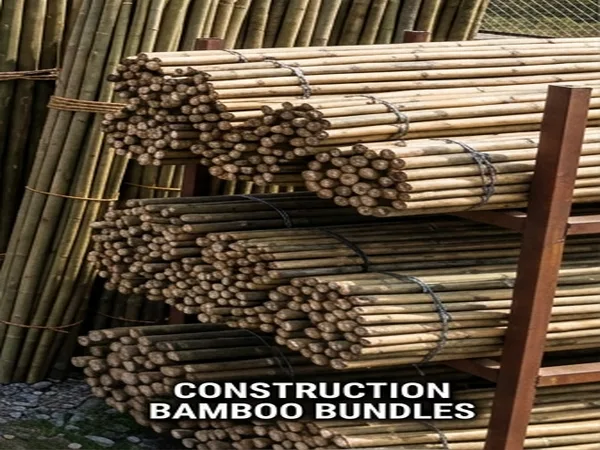 Bamboo Poles & Construction Bamboo