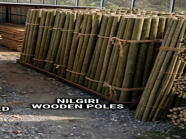 Nilgiri Wooden Pole (Teka)